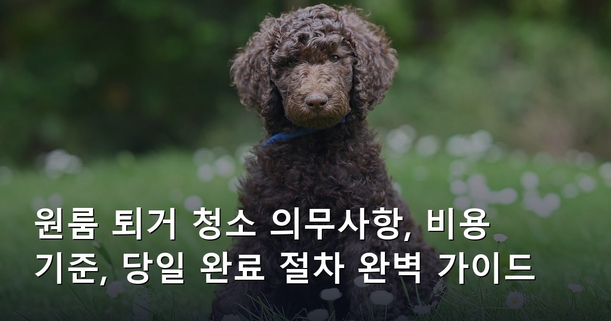 원룸 퇴거 청소 의무사항, 비용 기준, 당일 완료 절차 완벽 가이드