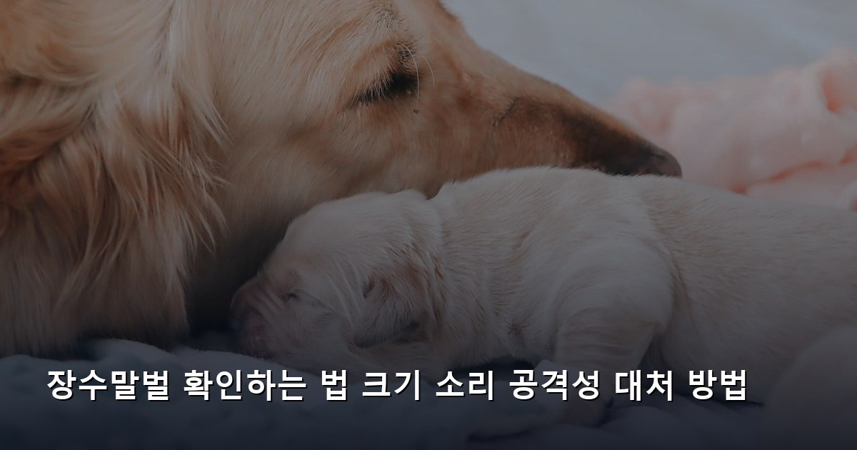 장수말벌 확인하는 법 크기 소리 공격성 대처 방법