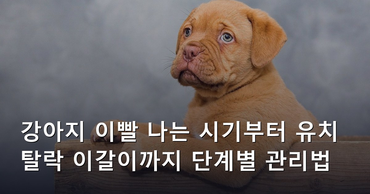 강아지 이빨 나는 시기부터 유치 탈락 이갈이까지 단계별 관리법