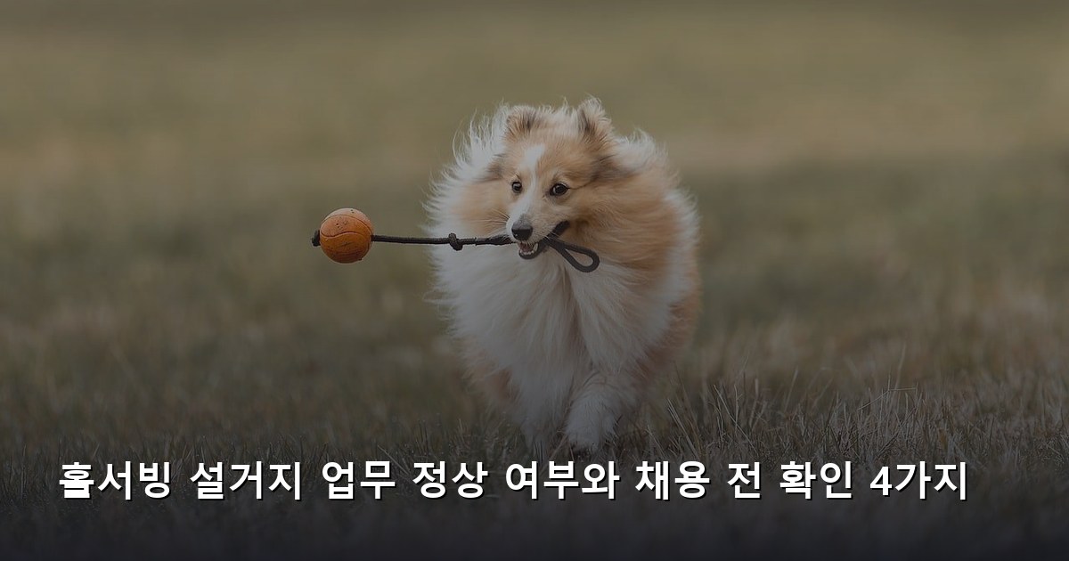 홀서빙 설거지 업무 정상 여부와 채용 전 확인 4가지